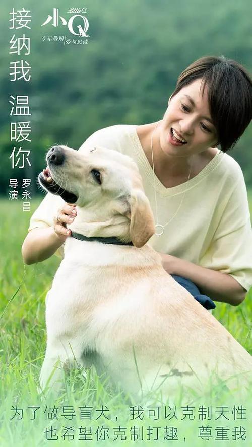 存款证明父母名下亲子关系证明